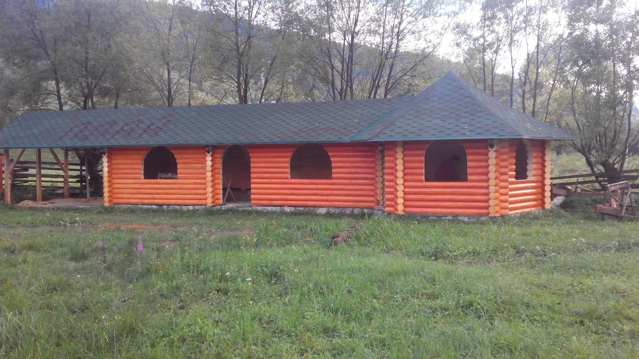 Villa Плай Verkhovyna Exterior foto
